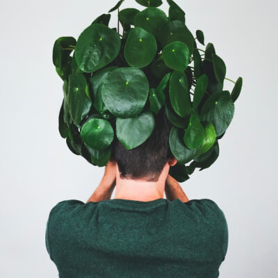 A propos Plants Store Gallery Img 3